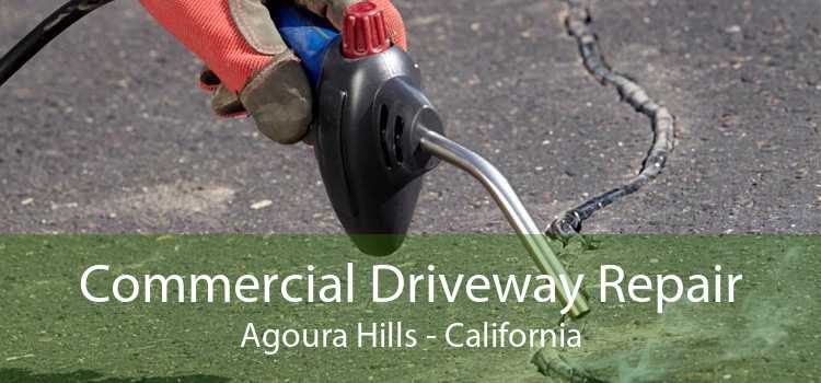 Commercial Driveway Repair Agoura Hills - California