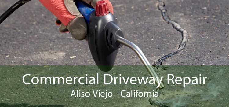 Commercial Driveway Repair Aliso Viejo - California