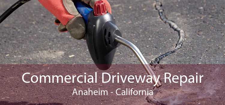 Commercial Driveway Repair Anaheim - California