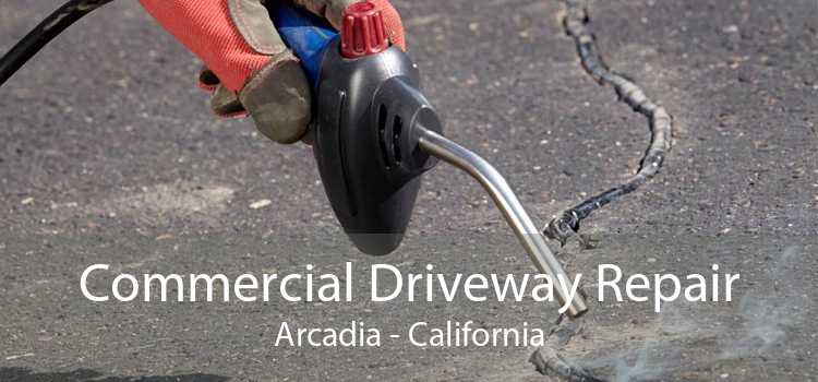 Commercial Driveway Repair Arcadia - California