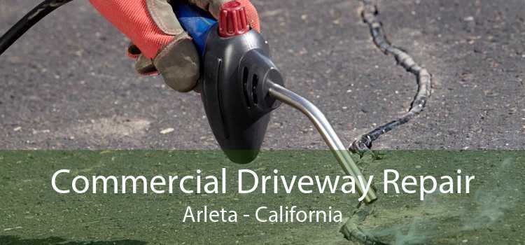 Commercial Driveway Repair Arleta - California