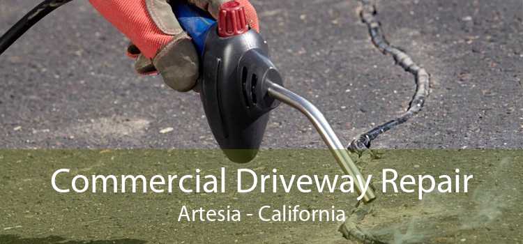 Commercial Driveway Repair Artesia - California