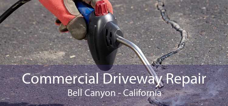 Commercial Driveway Repair Bell Canyon - California