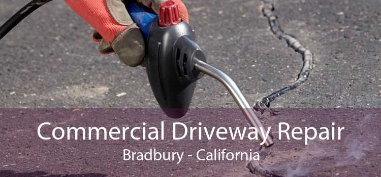 Commercial Driveway Repair Bradbury - California