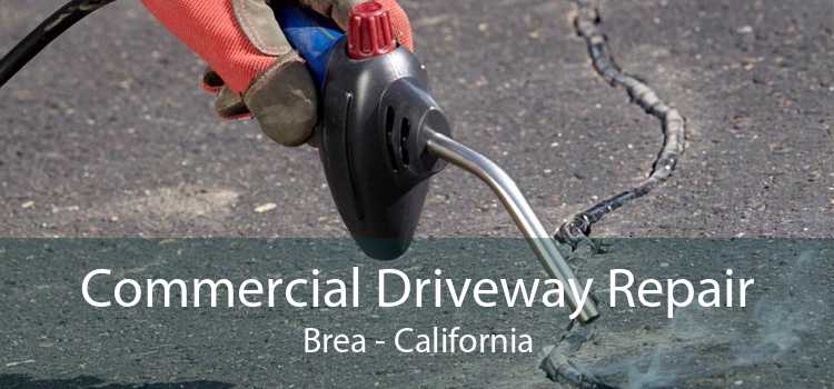 Commercial Driveway Repair Brea - California