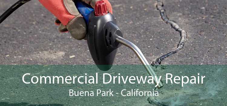 Commercial Driveway Repair Buena Park - California