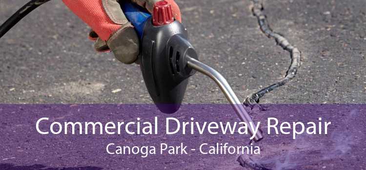 Commercial Driveway Repair Canoga Park - California