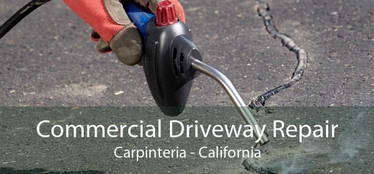 Commercial Driveway Repair Carpinteria - California