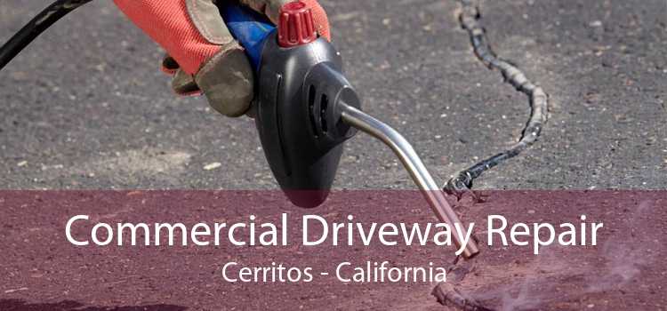 Commercial Driveway Repair Cerritos - California