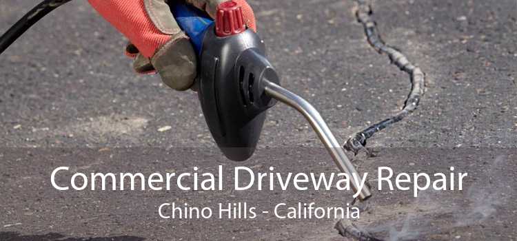 Commercial Driveway Repair Chino Hills - California