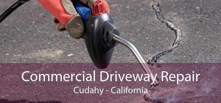 Commercial Driveway Repair Cudahy - California