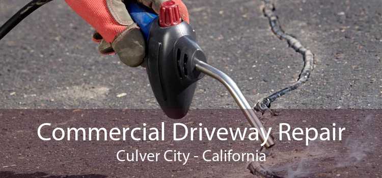 Commercial Driveway Repair Culver City - California