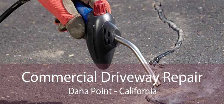 Commercial Driveway Repair Dana Point - California