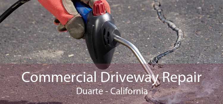 Commercial Driveway Repair Duarte - California