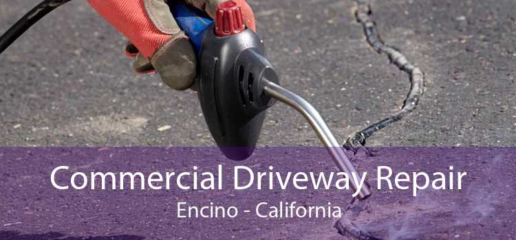 Commercial Driveway Repair Encino - California