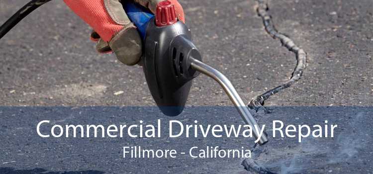 Commercial Driveway Repair Fillmore - California