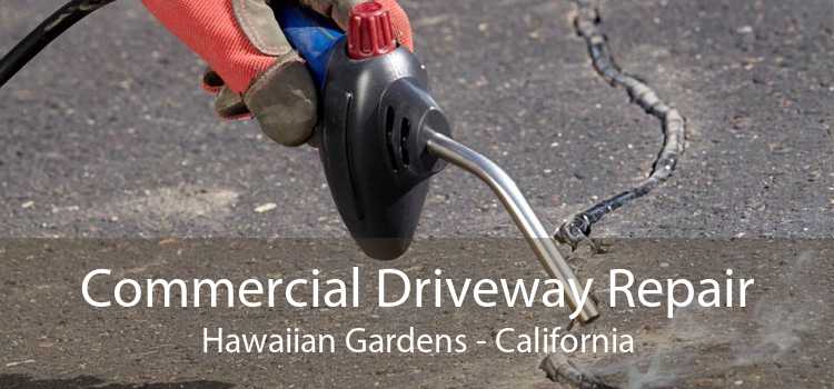 Commercial Driveway Repair Hawaiian Gardens - California