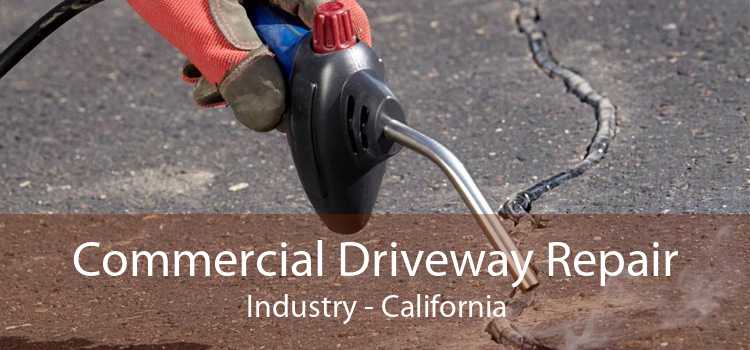 Commercial Driveway Repair Industry - California