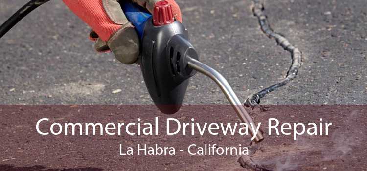 Commercial Driveway Repair La Habra - California