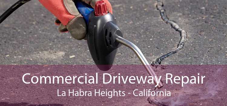 Commercial Driveway Repair La Habra Heights - California