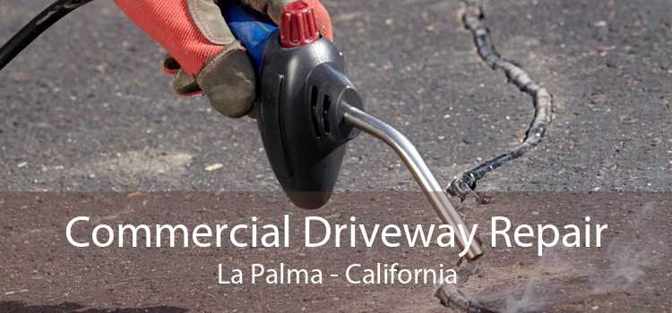 Commercial Driveway Repair La Palma - California