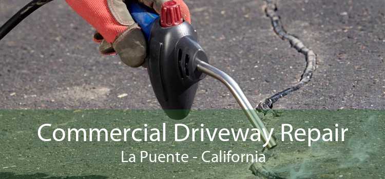 Commercial Driveway Repair La Puente - California