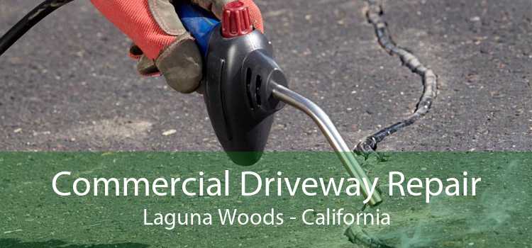 Commercial Driveway Repair Laguna Woods - California