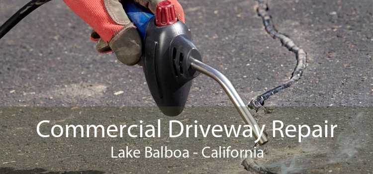 Commercial Driveway Repair Lake Balboa - California