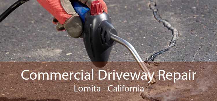 Commercial Driveway Repair Lomita - California