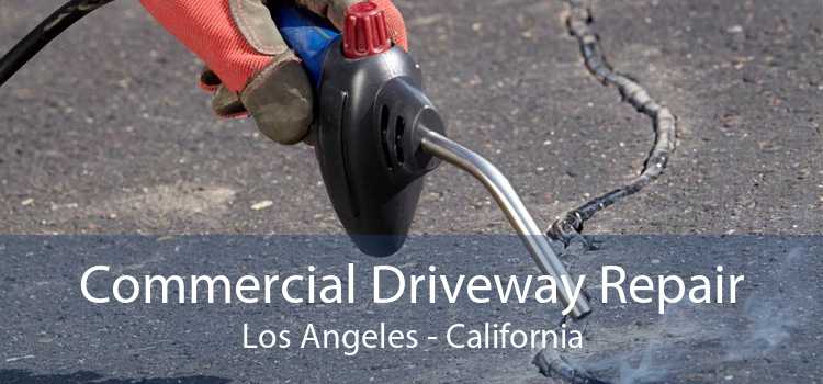 Commercial Driveway Repair Los Angeles - California