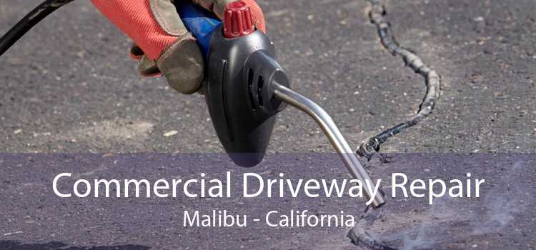 Commercial Driveway Repair Malibu - California