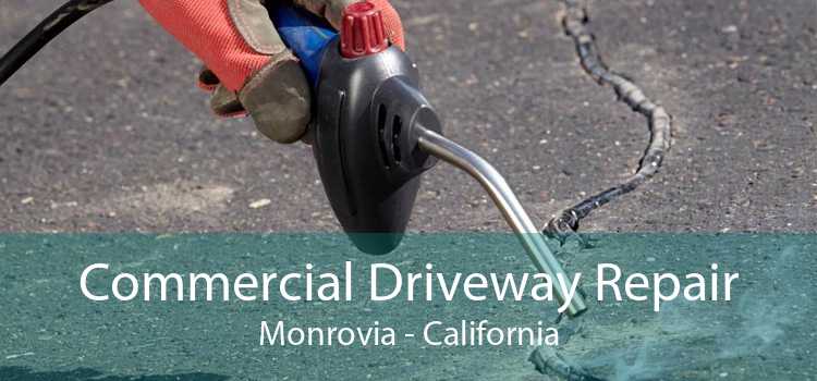 Commercial Driveway Repair Monrovia - California