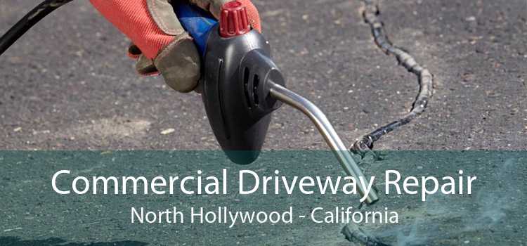 Commercial Driveway Repair North Hollywood - California