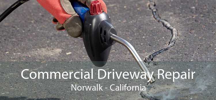 Commercial Driveway Repair Norwalk - California