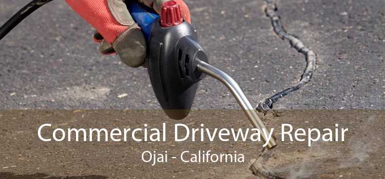 Commercial Driveway Repair Ojai - California