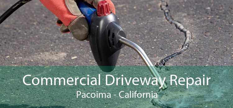 Commercial Driveway Repair Pacoima - California