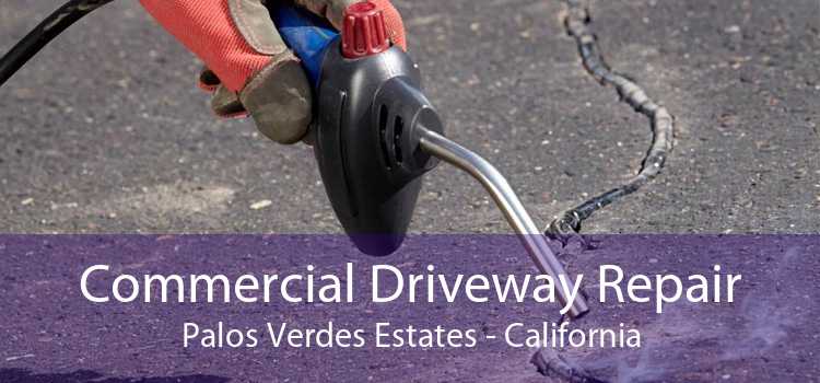 Commercial Driveway Repair Palos Verdes Estates - California