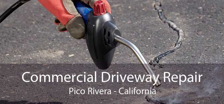 Commercial Driveway Repair Pico Rivera - California