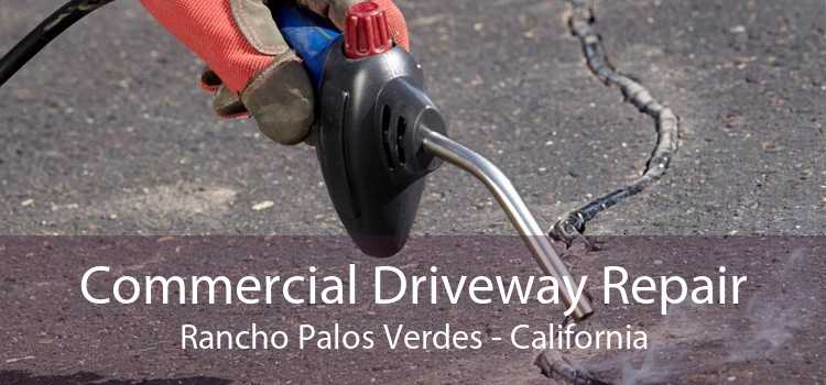 Commercial Driveway Repair Rancho Palos Verdes - California