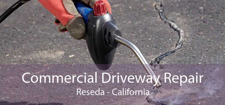 Commercial Driveway Repair Reseda - California