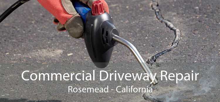 Commercial Driveway Repair Rosemead - California