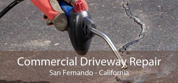 Commercial Driveway Repair San Fernando - California