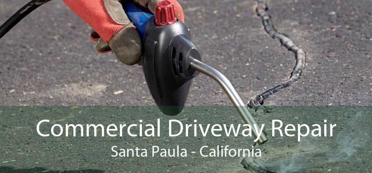 Commercial Driveway Repair Santa Paula - California