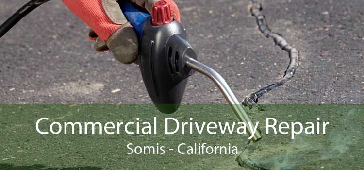 Commercial Driveway Repair Somis - California