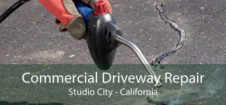 Commercial Driveway Repair Studio City - California