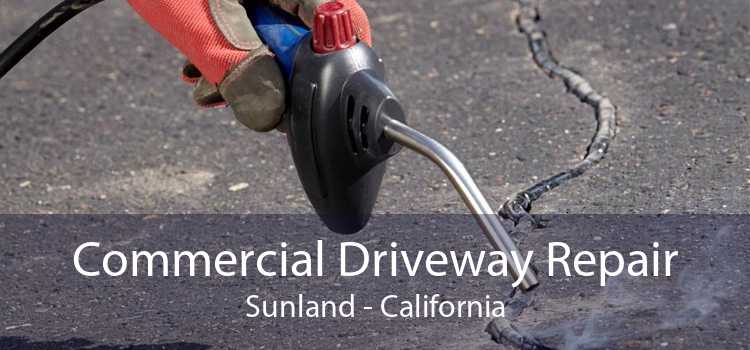 Commercial Driveway Repair Sunland - California