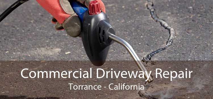 Commercial Driveway Repair Torrance - California