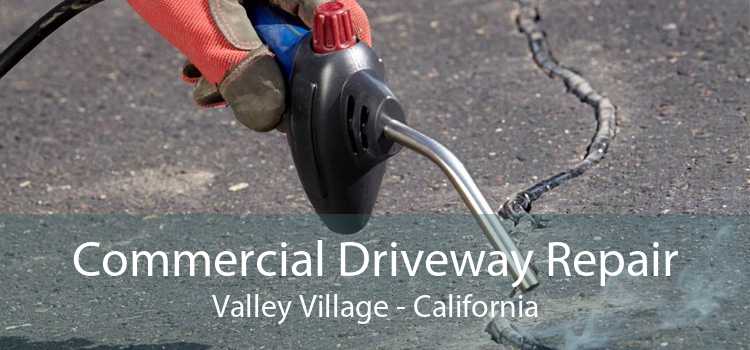 Commercial Driveway Repair Valley Village - California