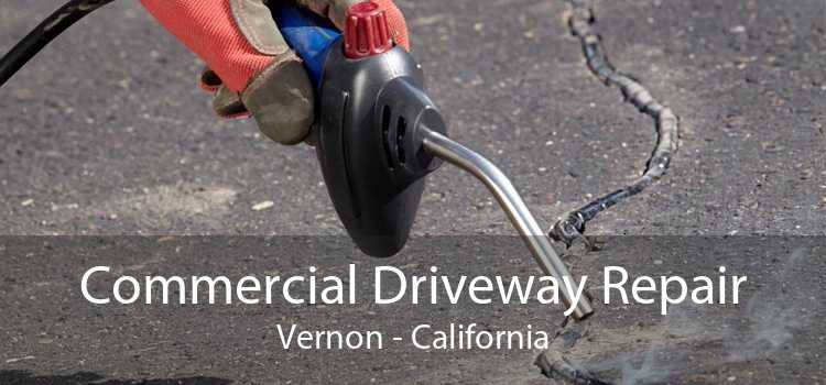 Commercial Driveway Repair Vernon - California