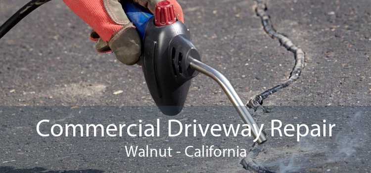 Commercial Driveway Repair Walnut - California